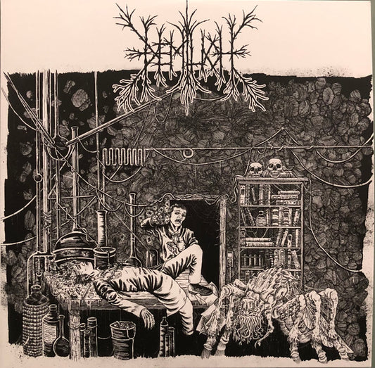 Demilich - Em9t2ness Of Van2s1ing / V34ish6ng 0f Emptiness (2xLP, Comp, RP)