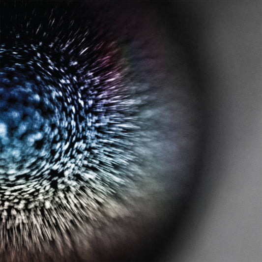 Emptyset - Blossoms (LP, Ltd, Cle)