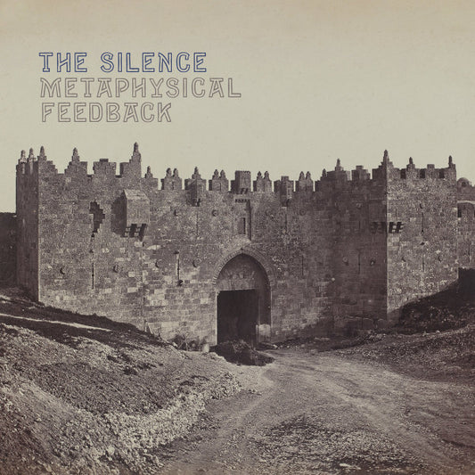 The Silence (8) - Metaphysical Feedback (LP, Album)
