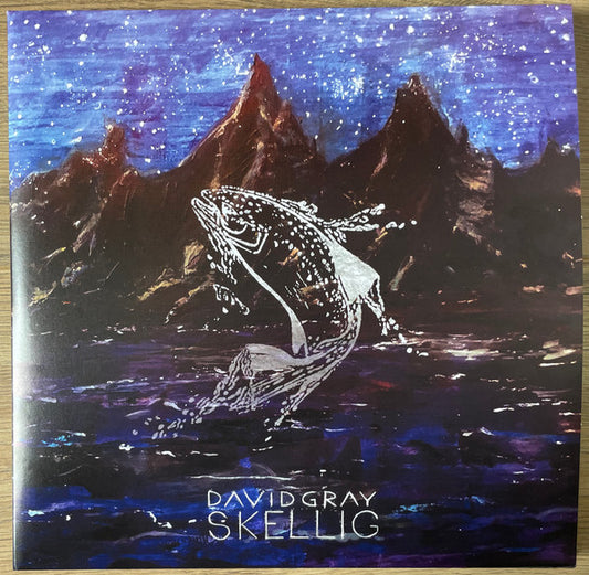 David Gray - Skellig (2xLP, Album)