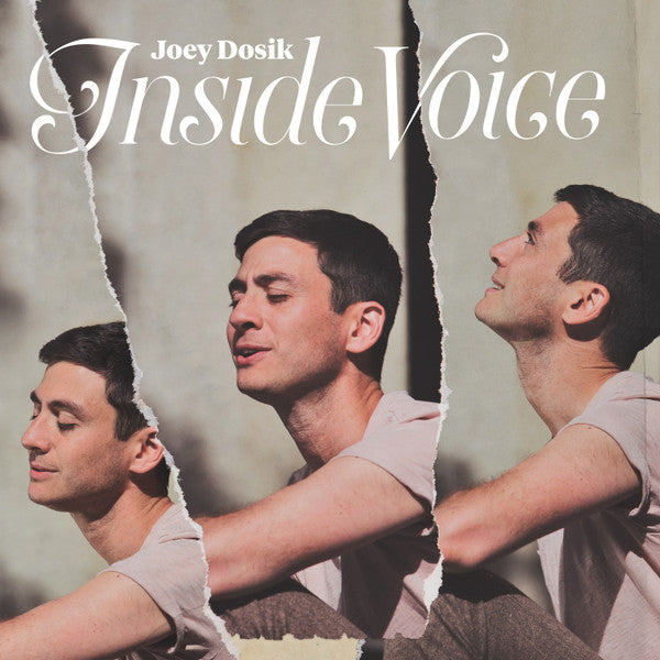 Joey Dosik - Inside Voice (CD, Album)