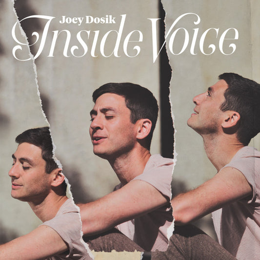 Joey Dosik - Inside Voice (CD, Album)