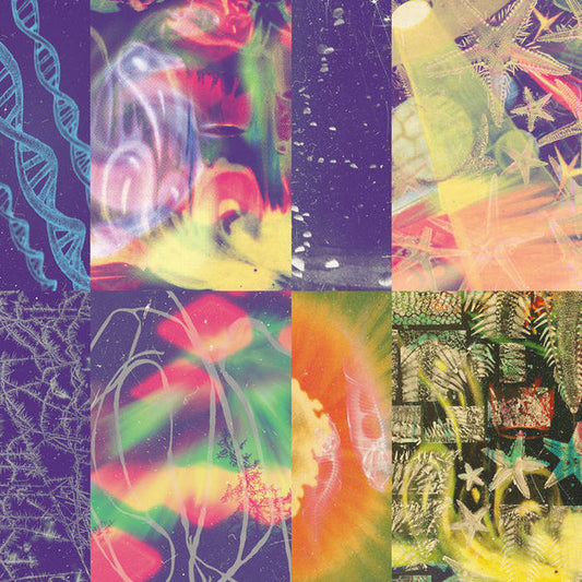 Nap Eyes - The Neon Gate (LP, Album)