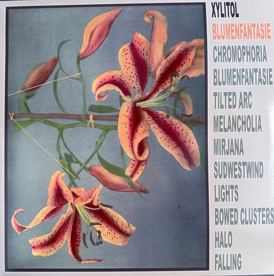 Xylitol - Blumenfantasie (LP, Album)