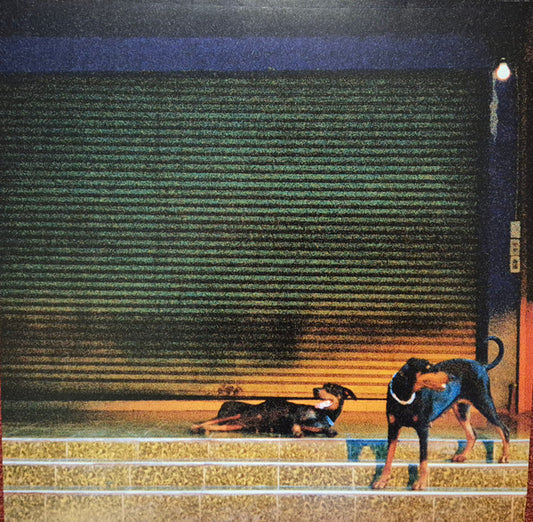 Overmono - Pure Devotion (LP, Album, Blu)
