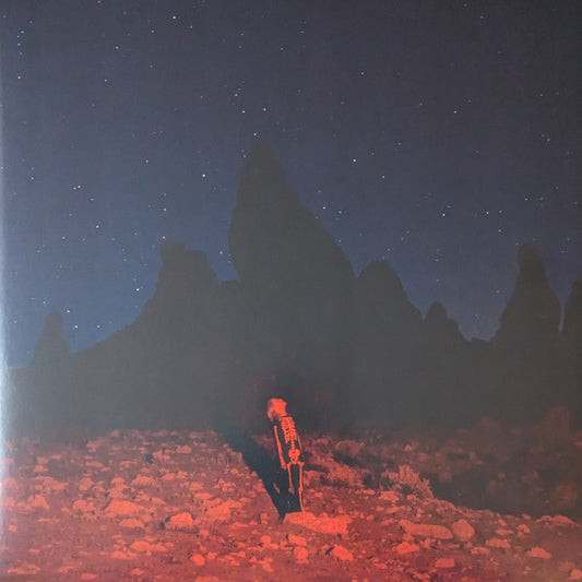 Phoebe Bridgers - Punisher (LP, Album, RP)