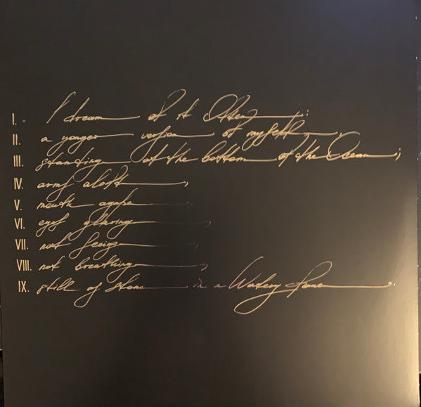 Telefon Tel Aviv - Dreams Are Not Enough (2xLP)