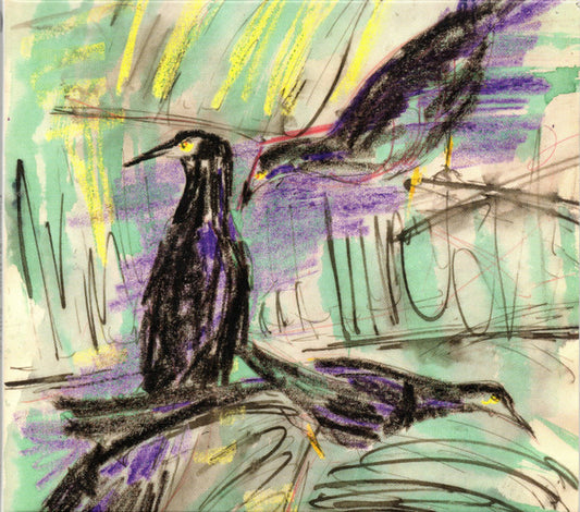 Carson McHone - Still Life (CD, Album)