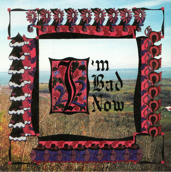 Nap Eyes - I'm Bad Now (LP, Album)
