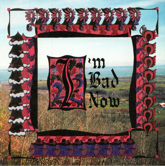 Nap Eyes - I'm Bad Now (LP, Album)