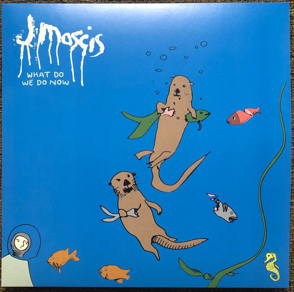 J Mascis - What Do We Do Now (LP, Album)