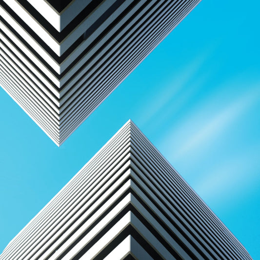 Snow Palms - Land Waves (LP, Ltd)