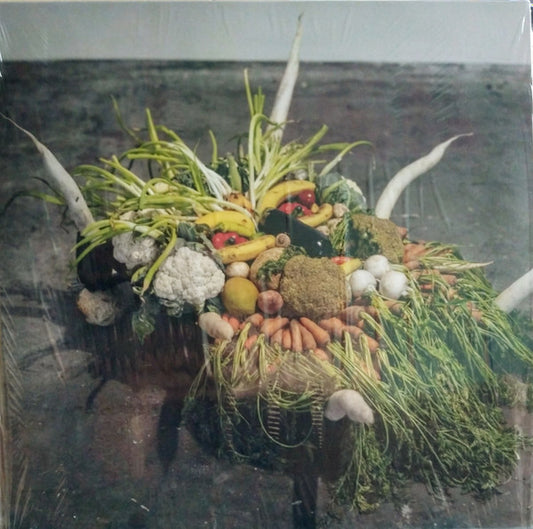 Jesse Osborne-Lanthier - Left My Brain @ Can Paixano (La Xampanyeria) OST (2xLP, Album)