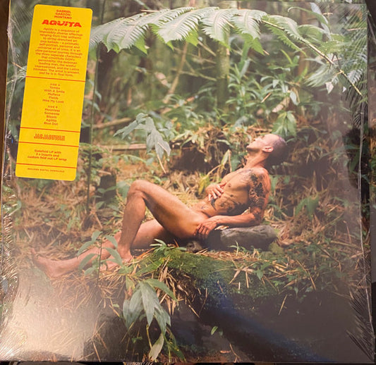 Gabriel Garzón-Montano - Agüita (LP)