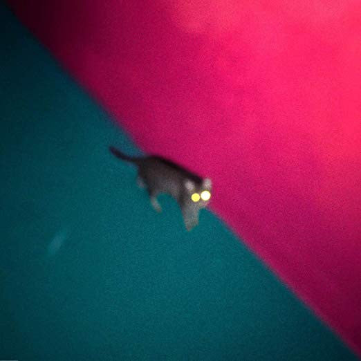 !!! - Wallop (2xLP, Album)