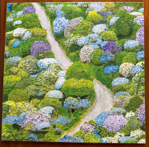 Fiddlehead (2) - Between the Richness (LP, Album, Vio)