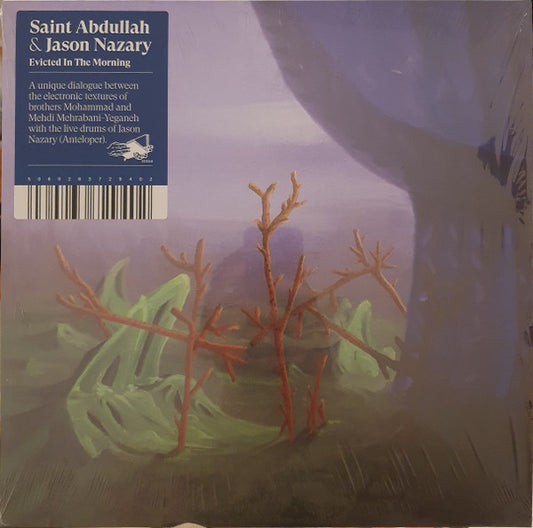 Saint Abdullah, Jason Nazary - Evicted In The Morning (LP, Album)