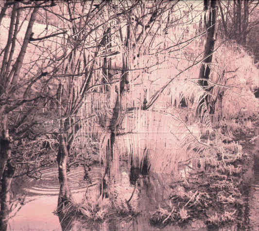 Esben And The Witch - Violet Cries (CD, Album)