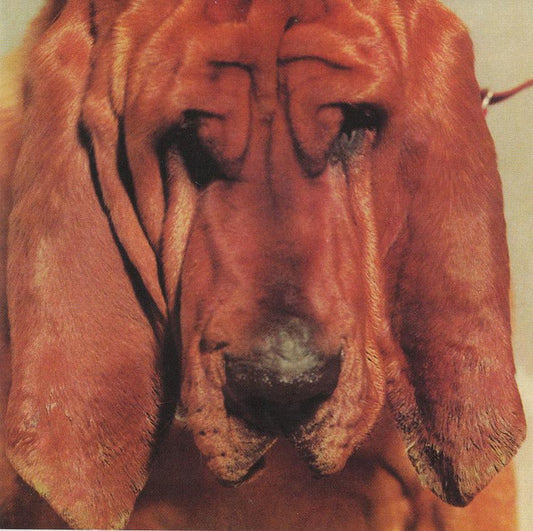Ty Segall - Goodbye Bread (CD, Album)
