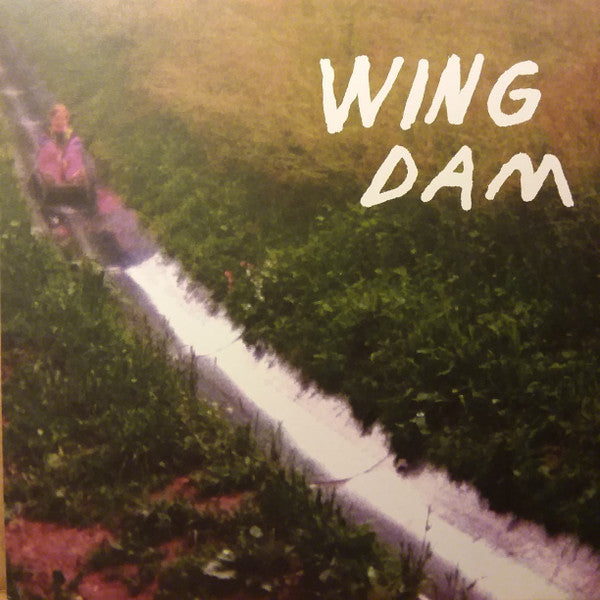 Wing Dam - Glow Ahead (LP, Album)