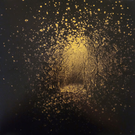 The Antlers - Burst Apart (LP, Album, Ltd, RE, Lem)