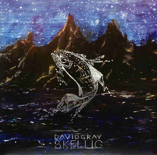 David Gray - Skellig (CD, Album)