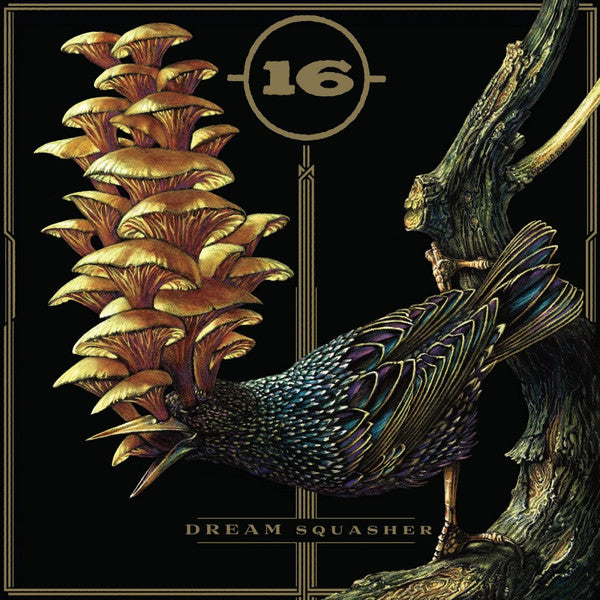 16 - Dream Squasher (CD, Album)