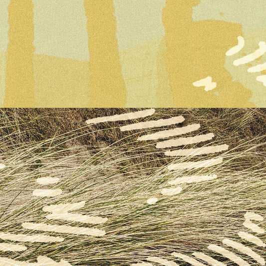 Parris (2) - Terrapin EP (12", EP)