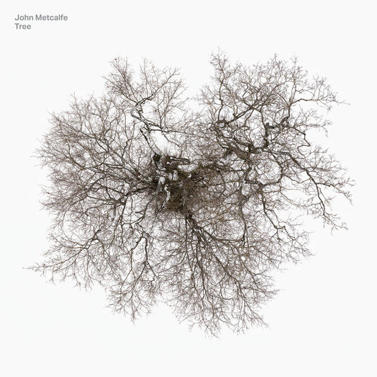 John Metcalfe - Tree (CD, Album)