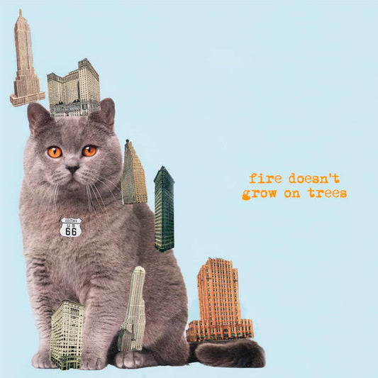 The Brian Jonestown Massacre - Fire Doesn't Grow On Trees (CD, Album, Dig)