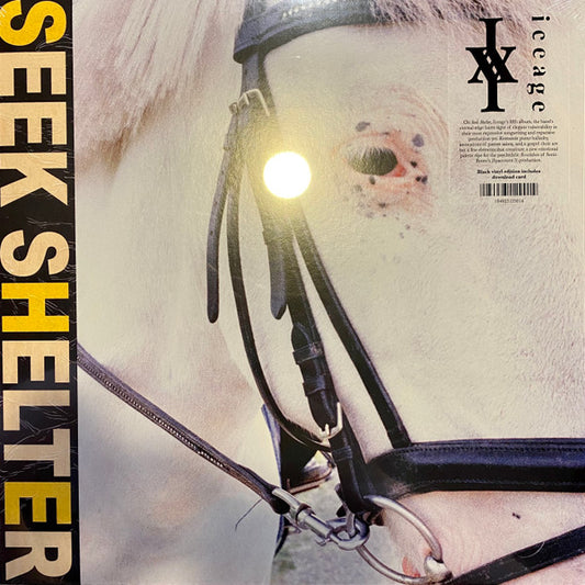 Iceage - Seek Shelter (LP, Album)