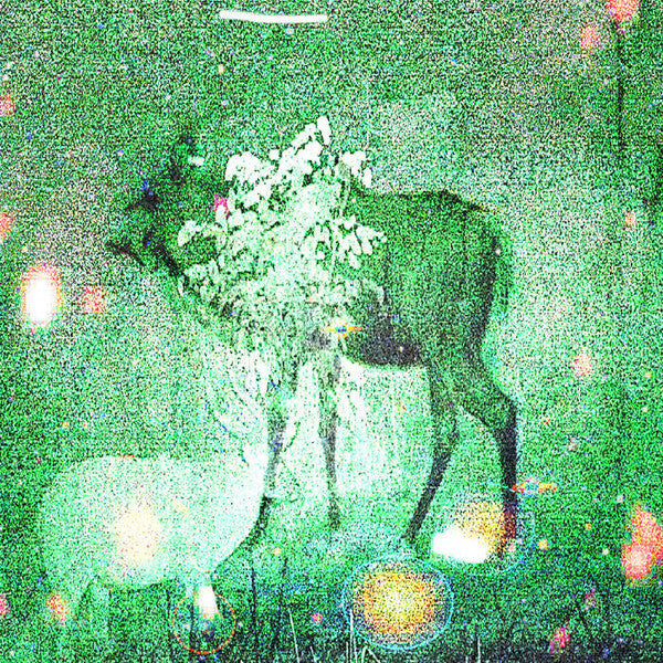 Ghost Lemurs - Wombs And Alien Spirits (LP, Album)