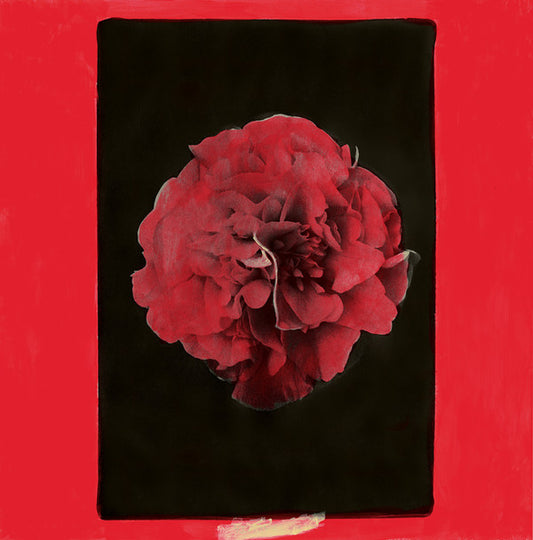 Activity (3) - A Thousand Years In Another Way (LP, Album)