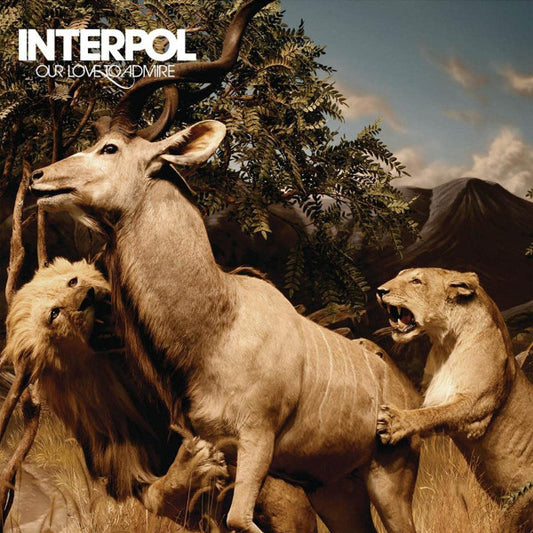 Interpol - Our Love To Admire (CD, Album, RE)