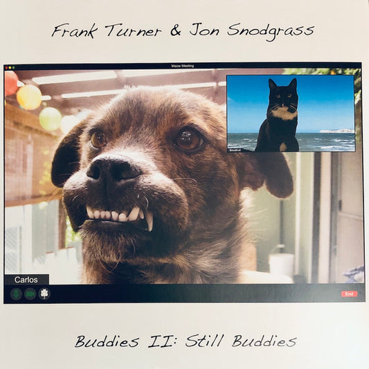Frank Turner & Jon Snodgrass - Buddies II: Still Buddies (LP, Album)