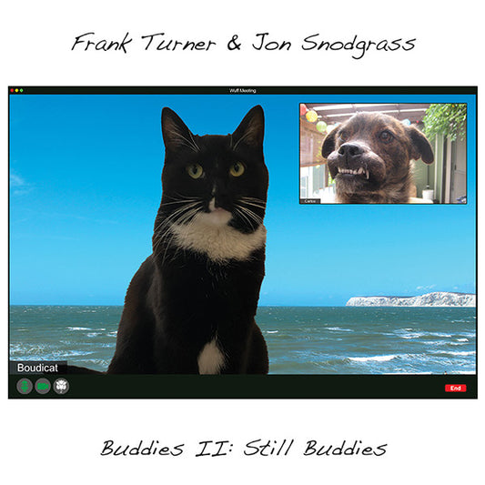 Frank Turner & Jon Snodgrass - Buddies II: Still Buddies (CD, Album)