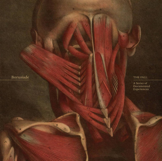 Borusiade - The Fall: A Series Of Documented Experiences (LP, Album)