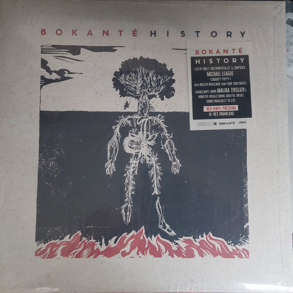 Bokanté - History (LP, Red)