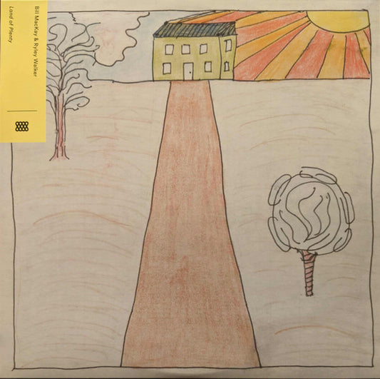 Bill MacKay & Ryley Walker - Land Of Plenty (LP, Album, RE)