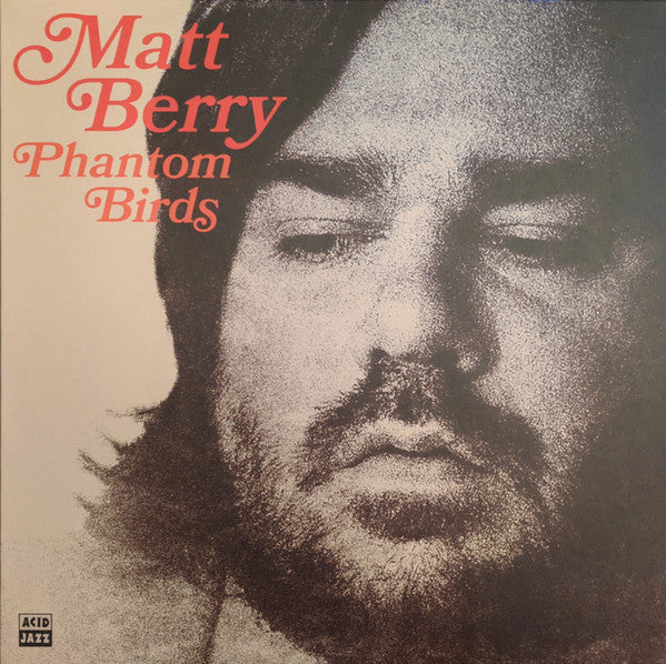 Matt Berry (3) - Phantom Birds (LP, Album)