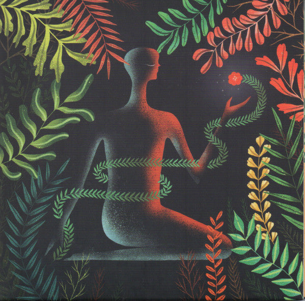 Loma (10) - Don't Shy Away (CD, Album)