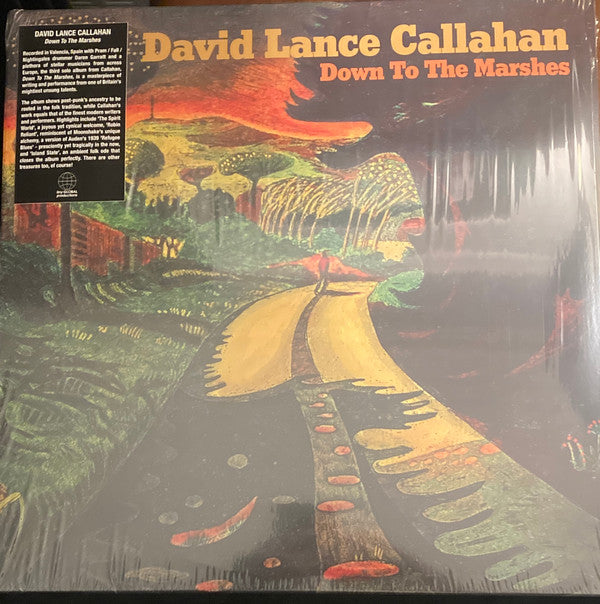 David Callahan - Down To The Marshes (LP, Album)