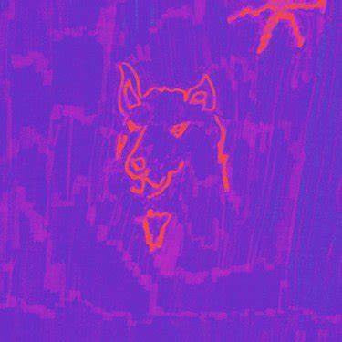 Dehd - Poetry (LP, Album, Gat)