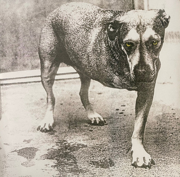 Alice In Chains - Alice In Chains (2xLP, Album, Ltd, RE, Yel)