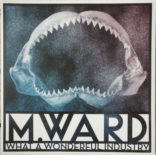 M. Ward - What A Wonderful Industry (LP, Album, Cle)