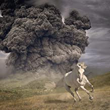 The White Buffalo - Year Of The Dark Horse (CD, Album)