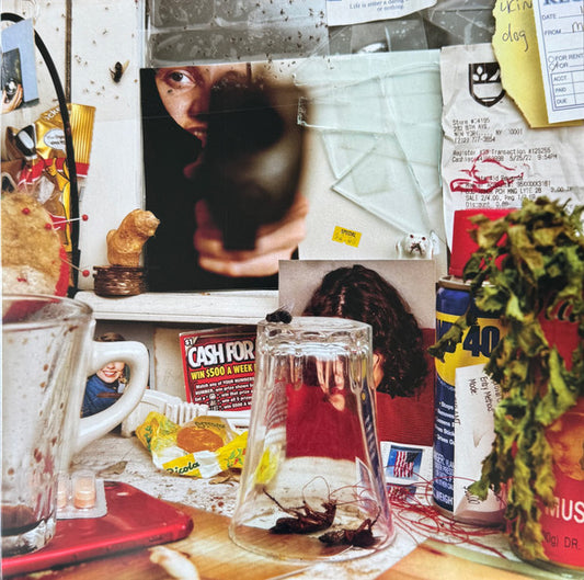 The Wants (2) - Bastard (12", Album)