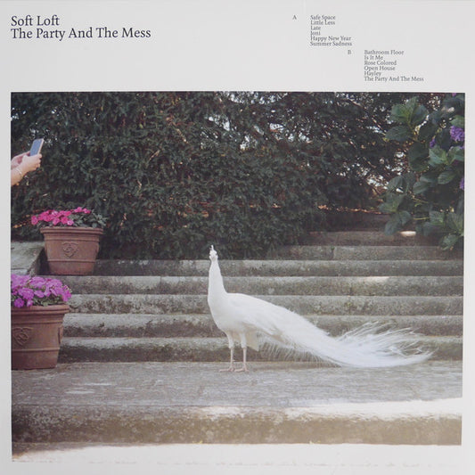 Soft Loft - The Party And The Mess (LP, Album)