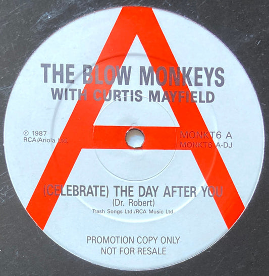 The Blow Monkeys With Curtis Mayfield - (Celebrate) The Day After You (12", Promo)