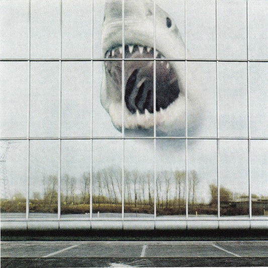 Black Mountain - Wilderness Heart (CD, Album, Jew)